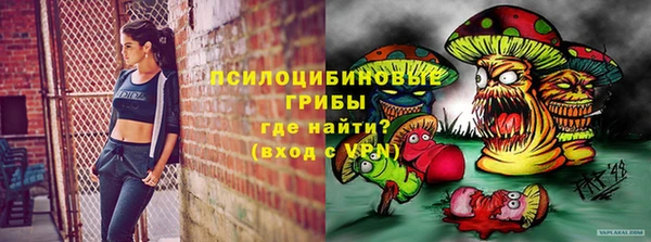 дмт Алексеевка