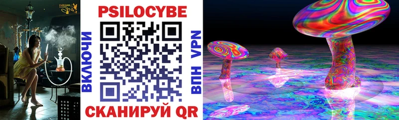 shop официальный сайт  Лукоянов  Псилоцибиновые грибы Psilocybe  omg маркетплейс 